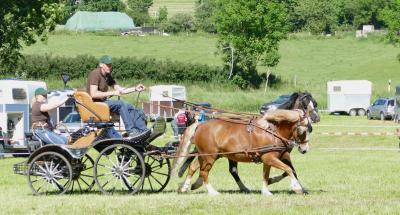 Foto des Albums: Fahrturnier Hilders 2017