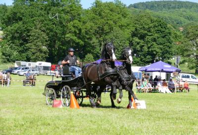 Foto des Albums: Fahrturnier Hilders 2017
