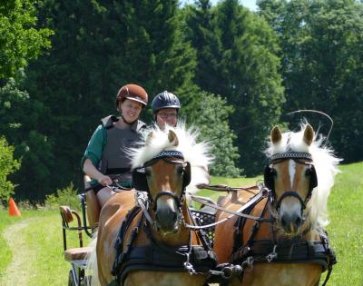 Foto des Albums: Fahrturnier Hilders 2017