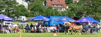 Foto des Albums: Fahrturnier Hilders 2017