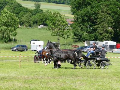 Foto des Albums: Fahrturnier Hilders 2017
