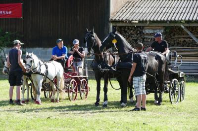 Foto des Albums: Fahrturnier Hilders 2017