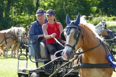 Foto des Albums: Fahrturnier Hilders 2017