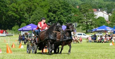 Foto des Albums: Fahrturnier Hilders 2017