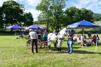 Foto des Albums: Fahrturnier Hilders 2017