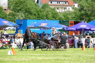 Foto des Albums: Fahrturnier Hilders 2017