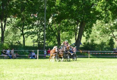 Foto des Albums: Fahrturnier Hilders 2017