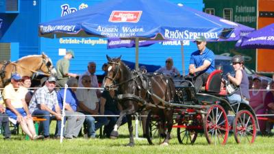 Foto des Albums: Fahrturnier Hilders 2017