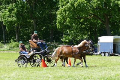 Foto des Albums: Fahrturnier Hilders 2017