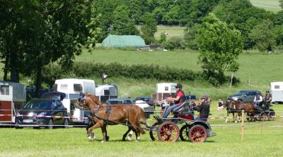 Foto des Albums: Fahrturnier Hilders 2017