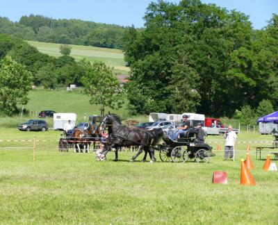 Foto des Albums: Fahrturnier Hilders 2017