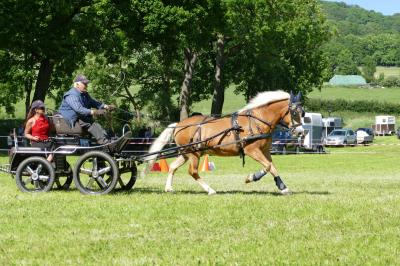 Foto des Albums: Fahrturnier Hilders 2017