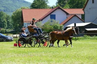 Foto des Albums: Fahrturnier Hilders 2017