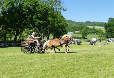 Foto des Albums: Fahrturnier Hilders 2017