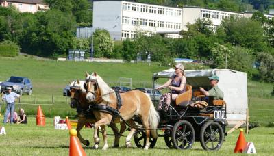 Foto des Albums: Fahrturnier Hilders 2017