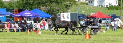 Foto des Albums: Fahrturnier Hilders 2017