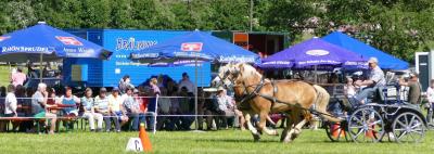 Foto des Albums: Fahrturnier Hilders 2017