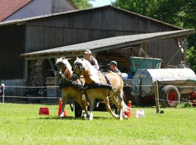 Foto des Albums: Fahrturnier Hilders 2017