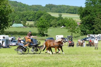 Foto des Albums: Fahrturnier Hilders 2017