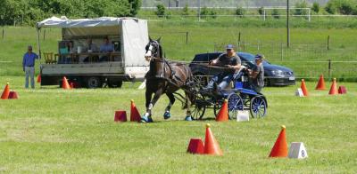 Foto des Albums: Fahrturnier Hilders 2017