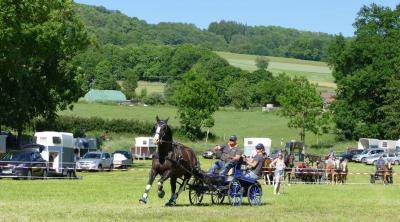 Foto des Albums: Fahrturnier Hilders 2017