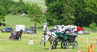 Foto des Albums: Fahrturnier Hilders 2017