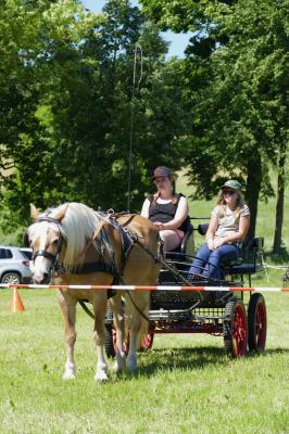 Foto des Albums: Fahrturnier Hilders 2017