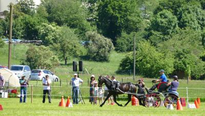 Foto des Albums: Fahrturnier Hilders 2017