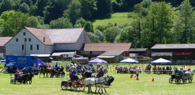 Foto des Albums: Fahrturnier Hilders 2017