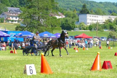 Foto des Albums: Fahrturnier Hilders 2017
