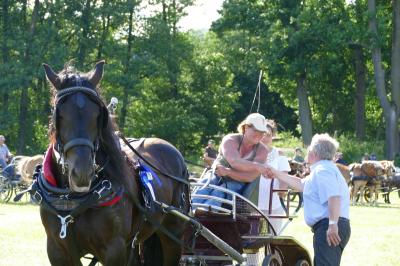 Foto des Albums: Fahrturnier Hilders 2017