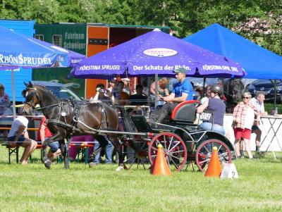 Foto des Albums: Fahrturnier Hilders 2017