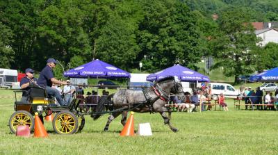 Foto des Albums: Fahrturnier Hilders 2017