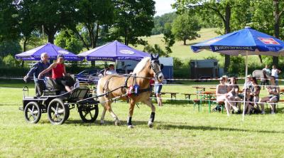 Foto des Albums: Fahrturnier Hilders 2017