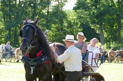 Foto des Albums: Fahrturnier Hilders 2017