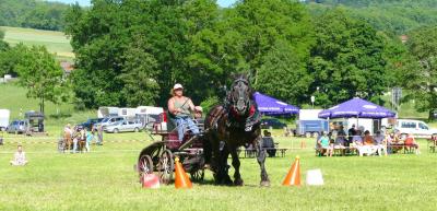 Foto des Albums: Fahrturnier Hilders 2017