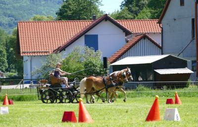 Foto des Albums: Fahrturnier Hilders 2017
