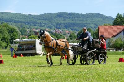 Foto des Albums: Fahrturnier Hilders 2017