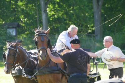 Foto des Albums: Fahrturnier Hilders 2017