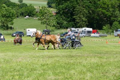 Foto des Albums: Fahrturnier Hilders 2017