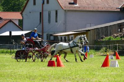 Foto des Albums: Fahrturnier Hilders 2017