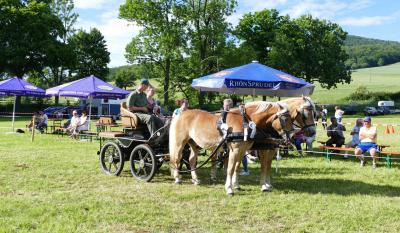 Foto des Albums: Fahrturnier Hilders 2017