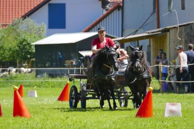 Foto des Albums: Fahrturnier Hilders 2017