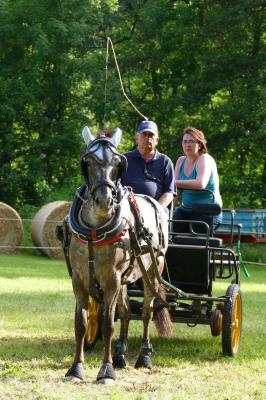 Foto des Albums: Fahrturnier Hilders 2017
