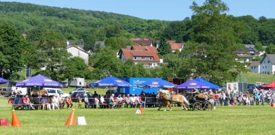 Foto des Albums: Fahrturnier Hilders 2017