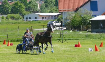 Foto des Albums: Fahrturnier Hilders 2017