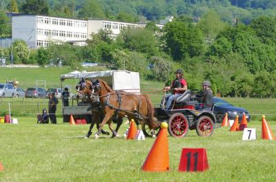 Foto des Albums: Fahrturnier Hilders 2017