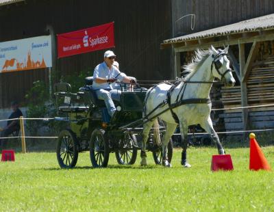 Foto des Albums: Fahrturnier Hilders 2017