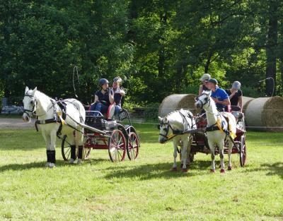 Foto des Albums: Fahrturnier Hilders 2017