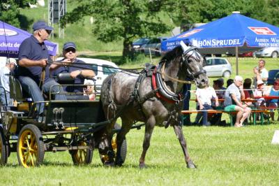 Foto des Albums: Fahrturnier Hilders 2017